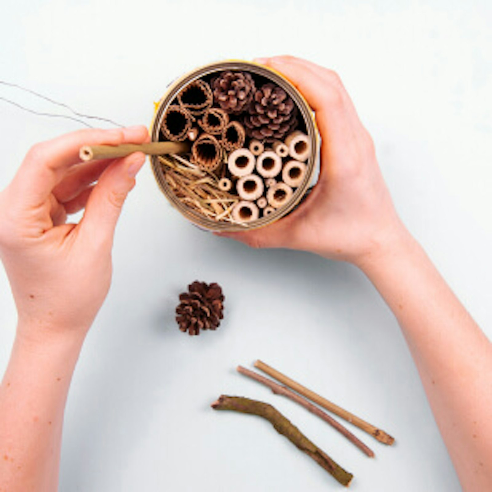 insektenhotel-basteln-blechdose-fuellmaterial.jpg DIY Insektenhotel basteln - Schritt 8: Blechdose mit Füllmaterial versehen