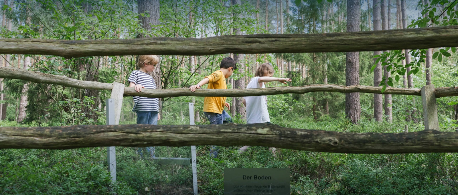 trinkwasser-erlebnispfad-fuhrpark.jpg Natur erleben. Dieses Bild zeigt drei Kinder, zwei Jungen und ein Mädchen, die über eine Brücke im Wald gehen.