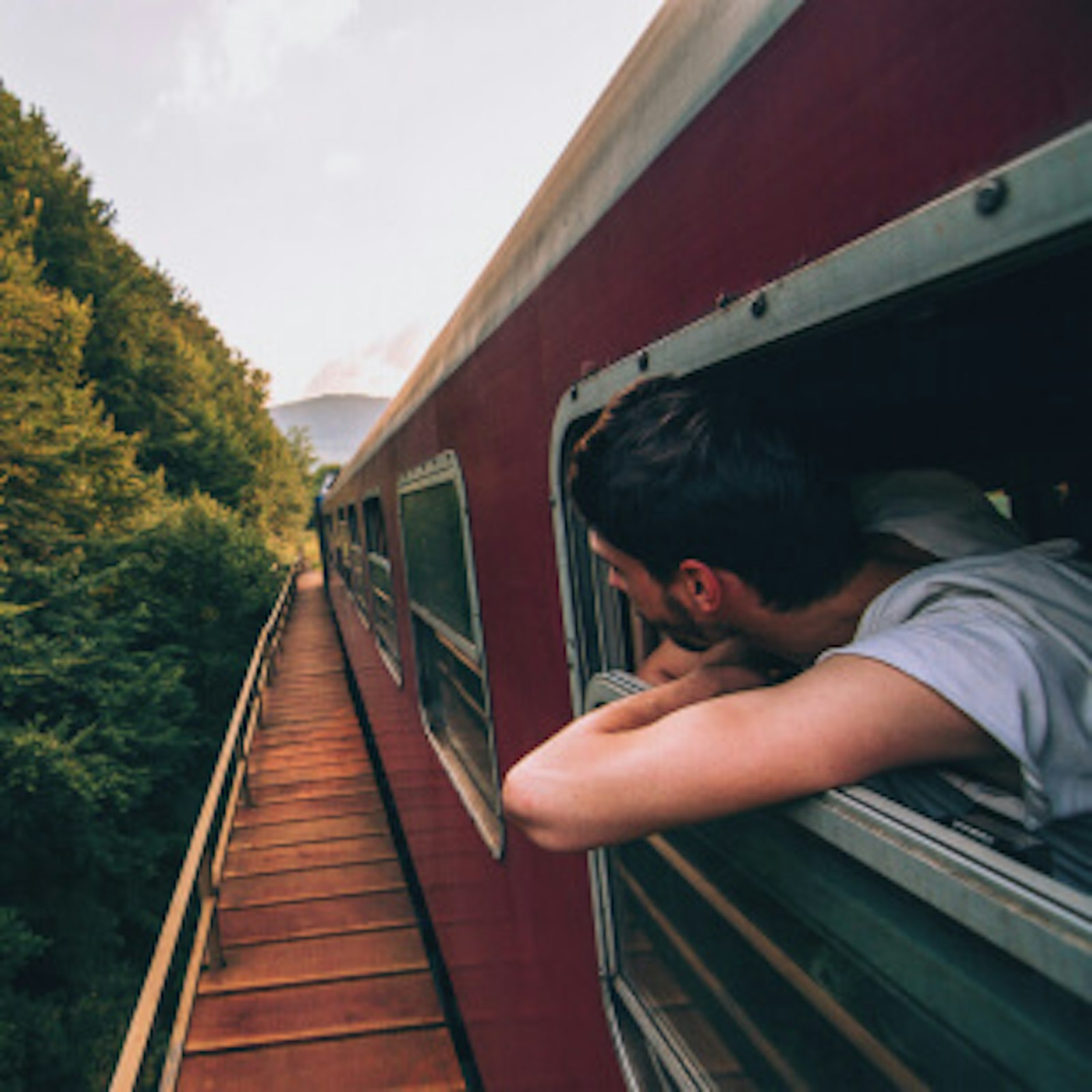 umweltbewusste-mobilitaet-nachhaltig-urlaub-machen Mann schaut aus dem Zugfenster