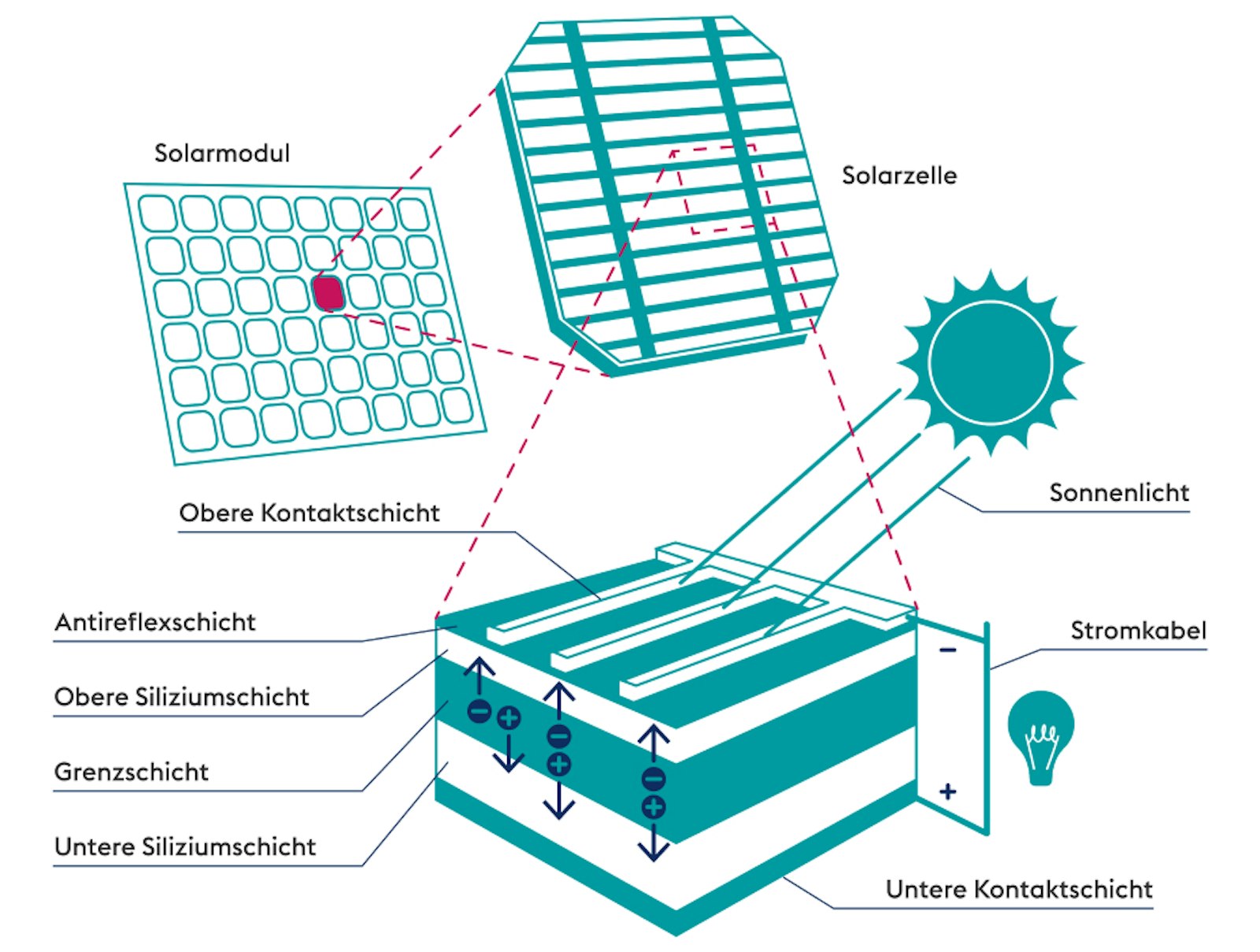 solarenergie-funktion-photovoltaikanlage.jpg Photovoltaik. Diese Grafik zeigt die Funktionsweise einer Photovoltaikanlage im Zusammenspiel mit Sonnenlicht, Stromkabel und weiteren Faktoren.