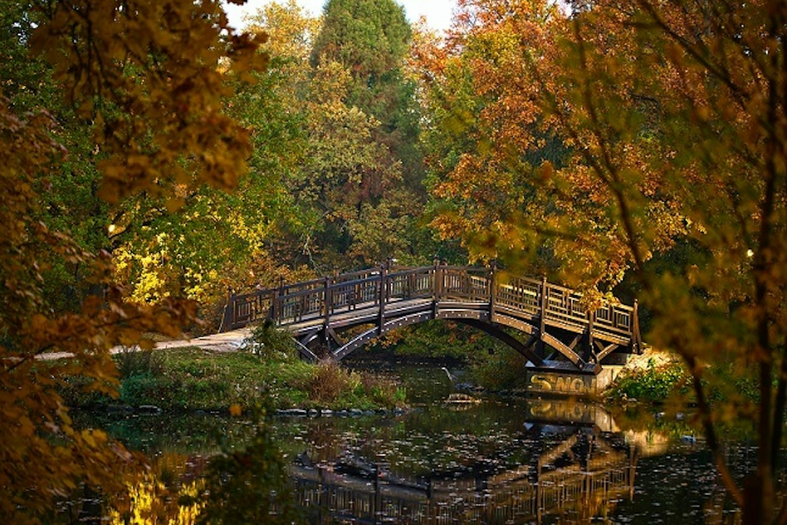 Leipzig Stadtpark enercity Solar Brücke im Stadtpark im Herbst