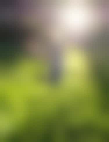 Dieses Bild zeigt ein Mädchen, welches sich auf einer Wiese in einem Wald befindet und dort gerade hochspringt. Zwischen den Bäumen sieht man Sonnenstrahlen.
